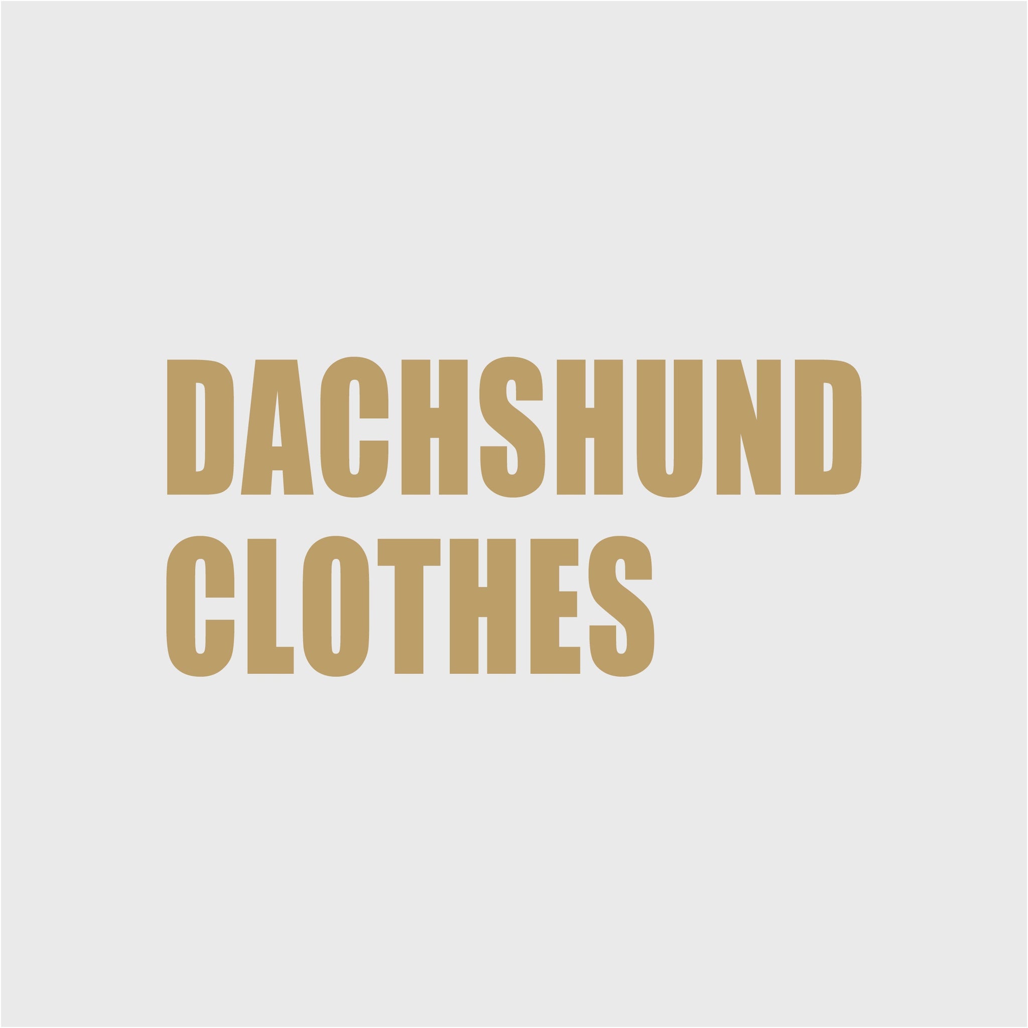 DACHSHUND CLOTHES
