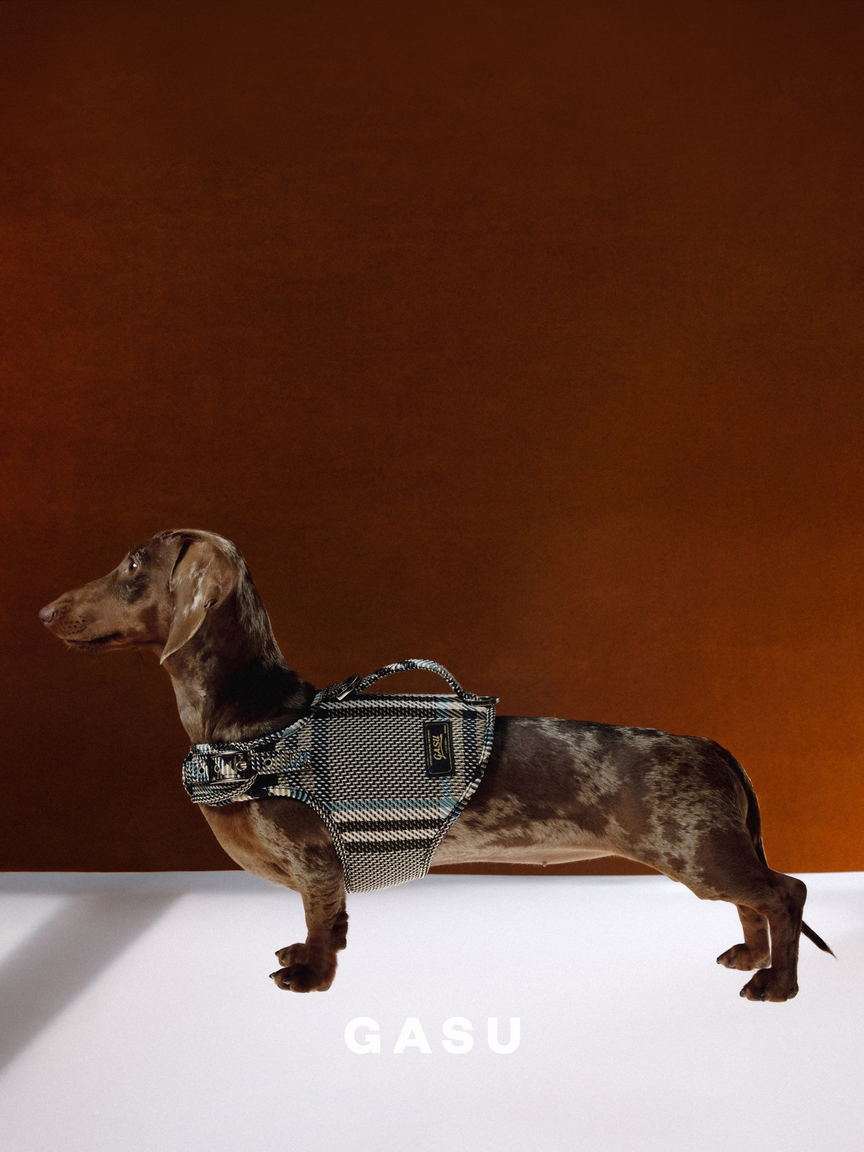 GASU Variété / [Stone Blue] Structured Skin-friendly Breathable Adjustable Harness