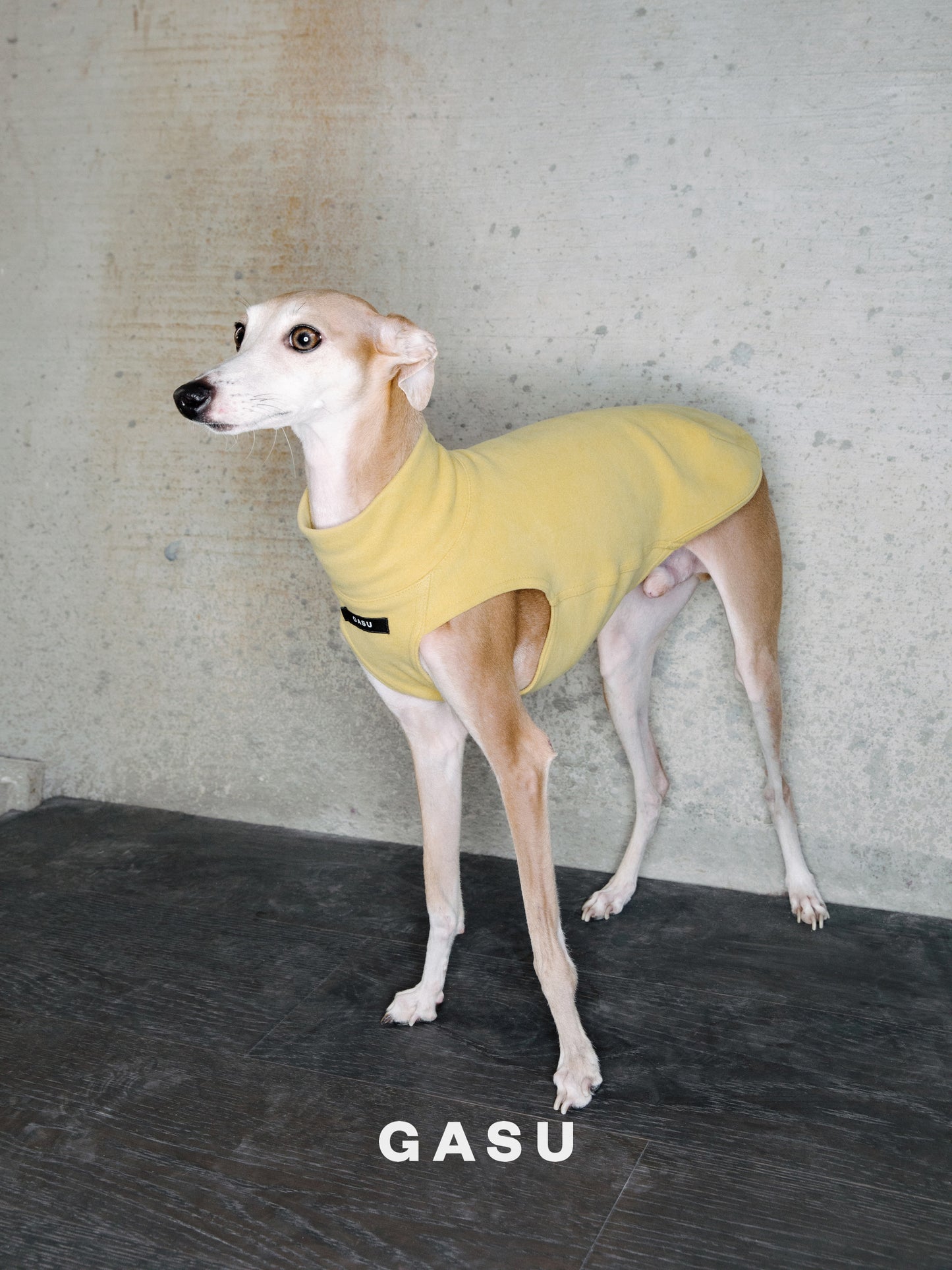 GASU® Flâner / [11 Colors] Anti-static Warm Tight Elastic Belly-protecting Vest