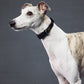 GASU Variété / [Black] Seamless Skin-friendly Adjustable Collar