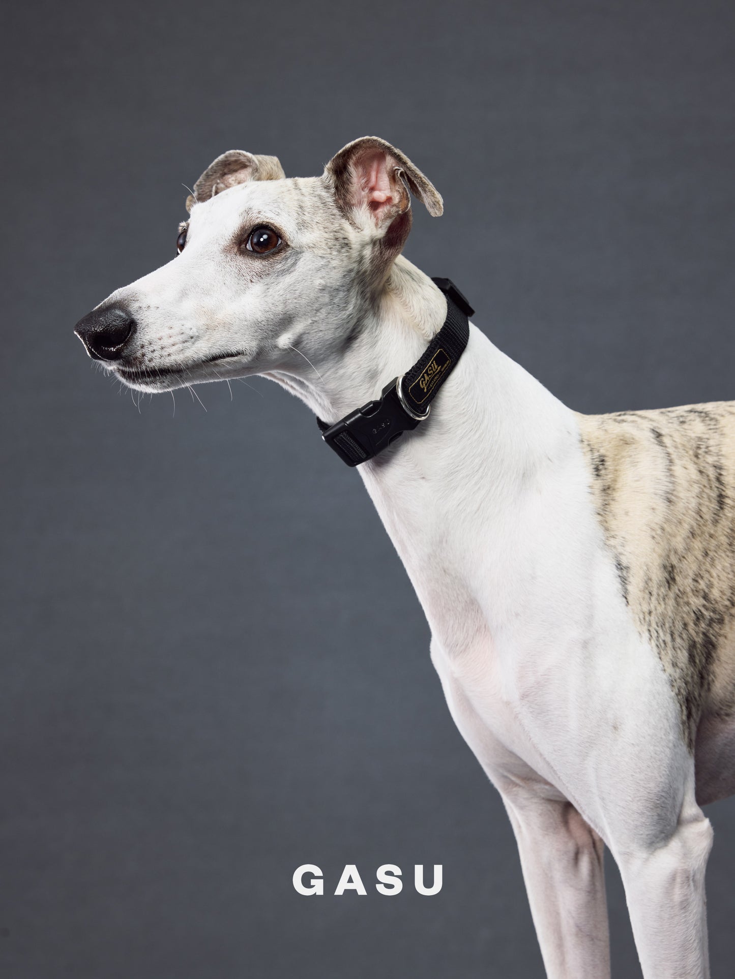 GASU Variété / [Black] Seamless Skin-friendly Adjustable Collar