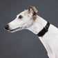 GASU Variété / [Black] Seamless Skin-friendly Adjustable Collar