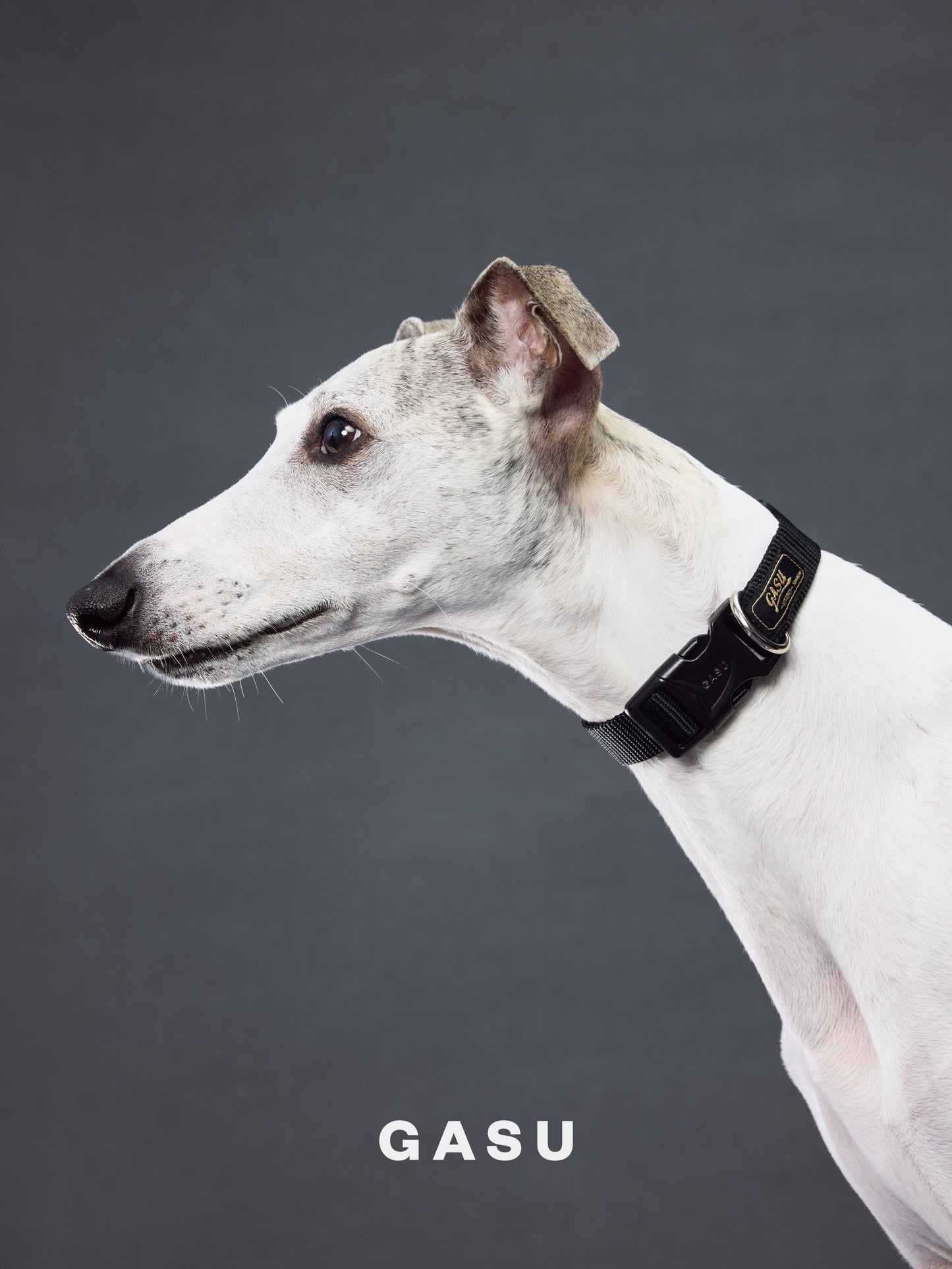 GASU Variété / [Black] Seamless Skin-friendly Adjustable Collar