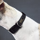 GASU Variété / [Black] Seamless Skin-friendly Adjustable Collar