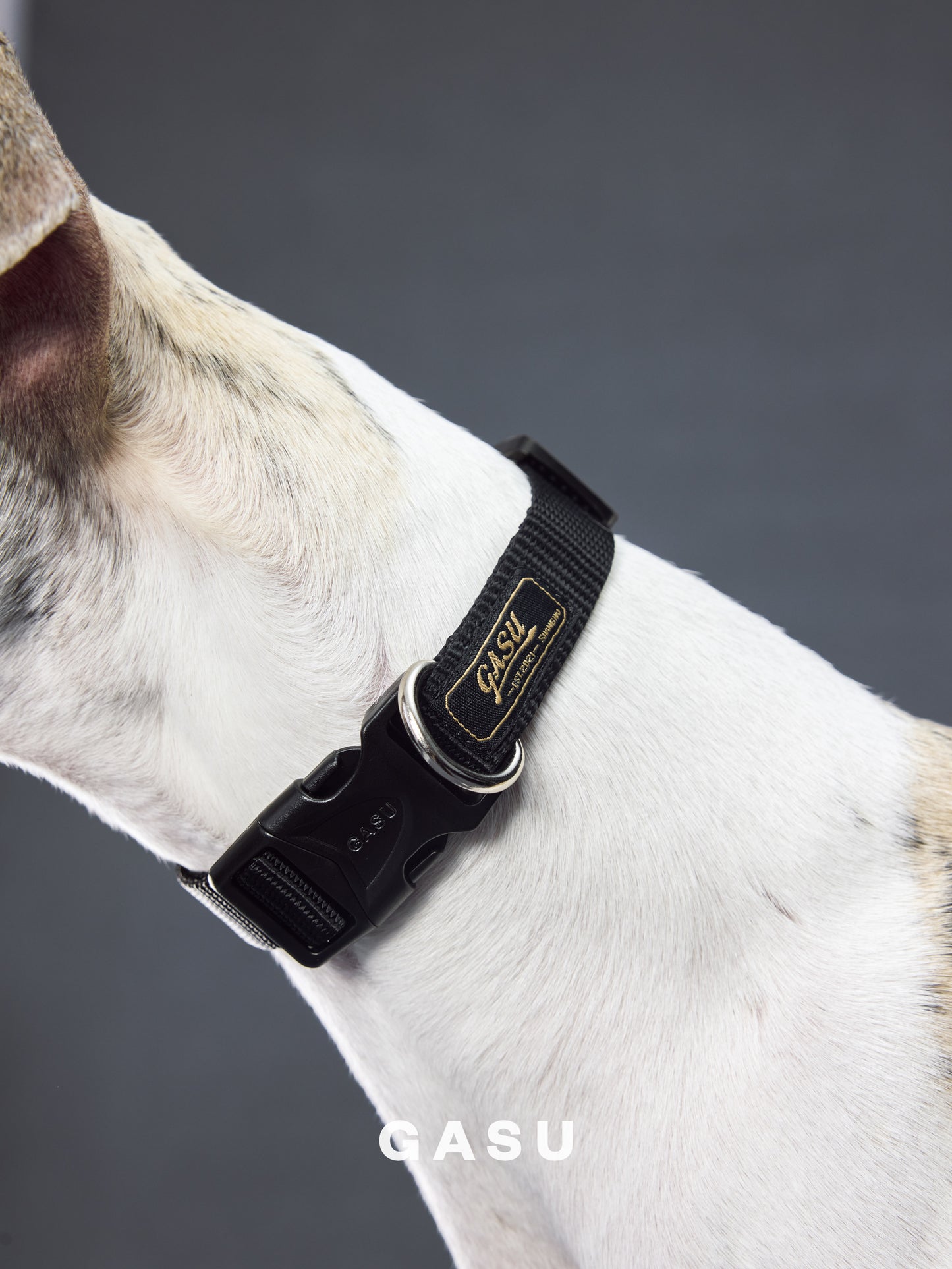 GASU Variété / [Black] Seamless Skin-friendly Adjustable Collar