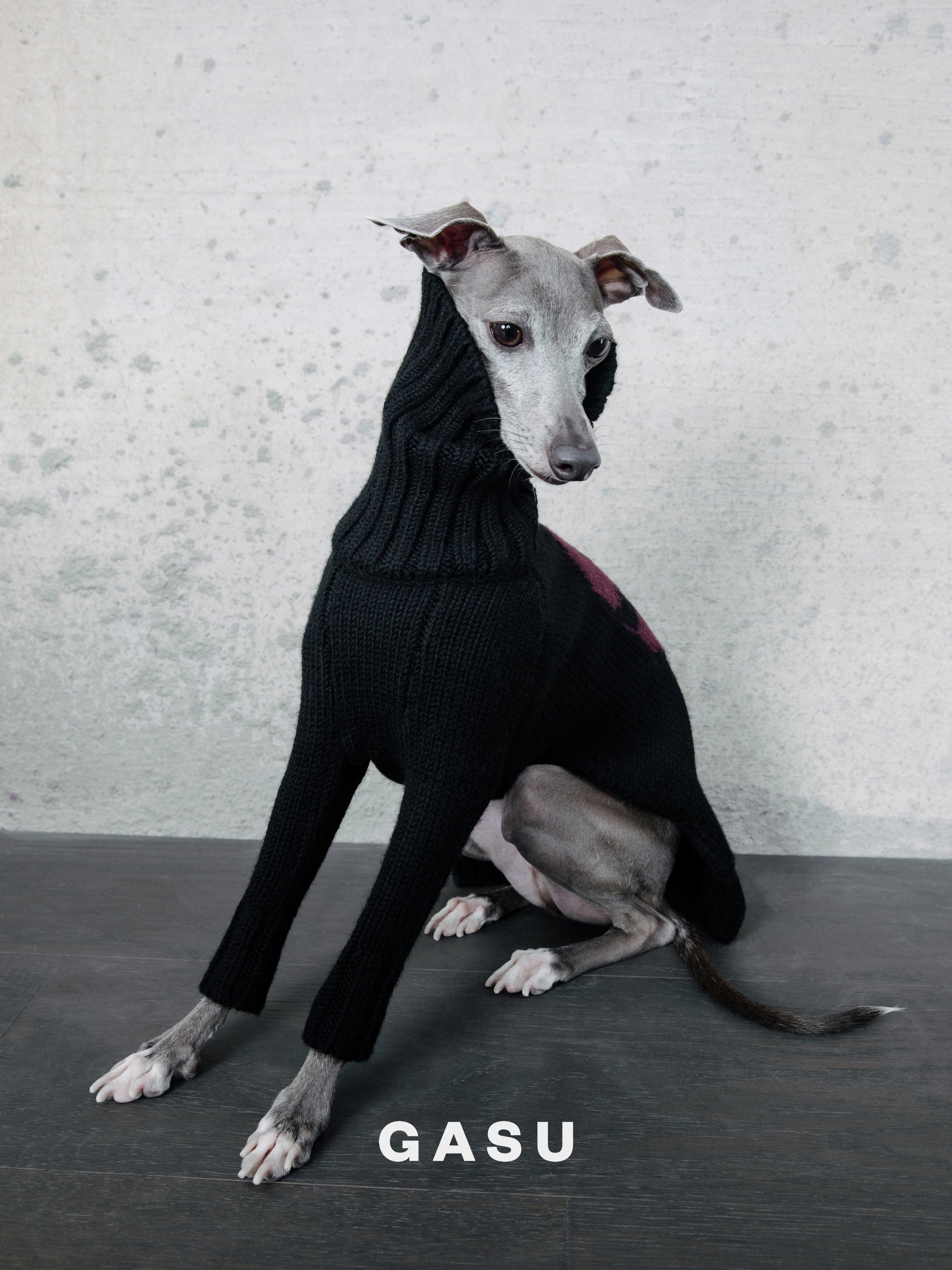 GASU® Svelte / [4 Colors] Vintage Letter Iggy 2-Legged Wool Sweater