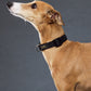 GASU Variété / [Black] Seamless Skin-friendly Adjustable Collar