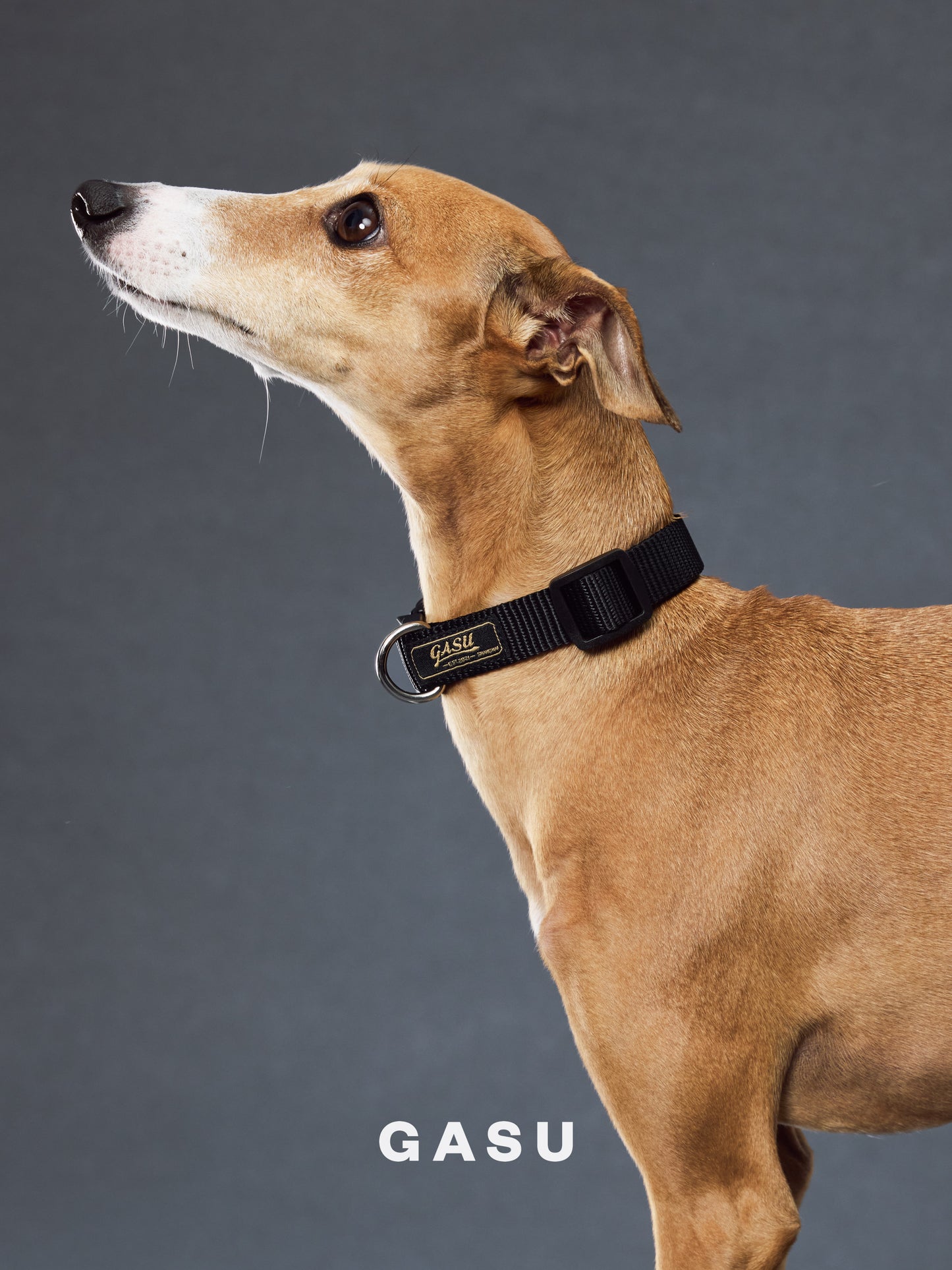 GASU Variété / [Black] Seamless Skin-friendly Adjustable Collar