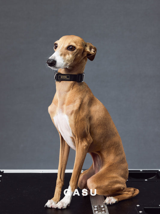GASU Variété / [Black] Seamless Skin-friendly Adjustable Collar