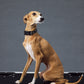 GASU Variété / [Black] Seamless Skin-friendly Adjustable Collar