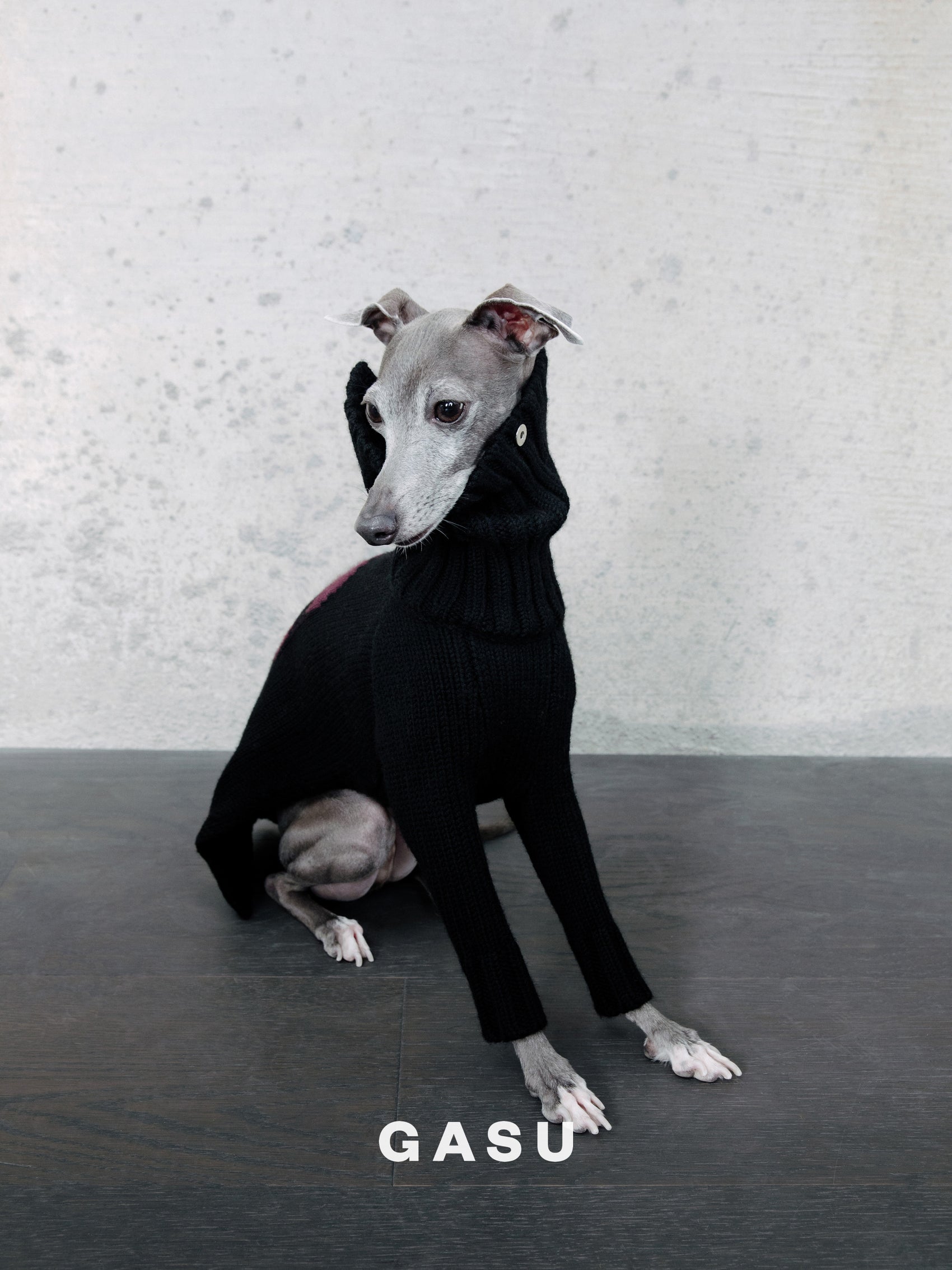 GASU® Svelte / [4 Colors] Vintage Letter Iggy 2-Legged Wool Sweater