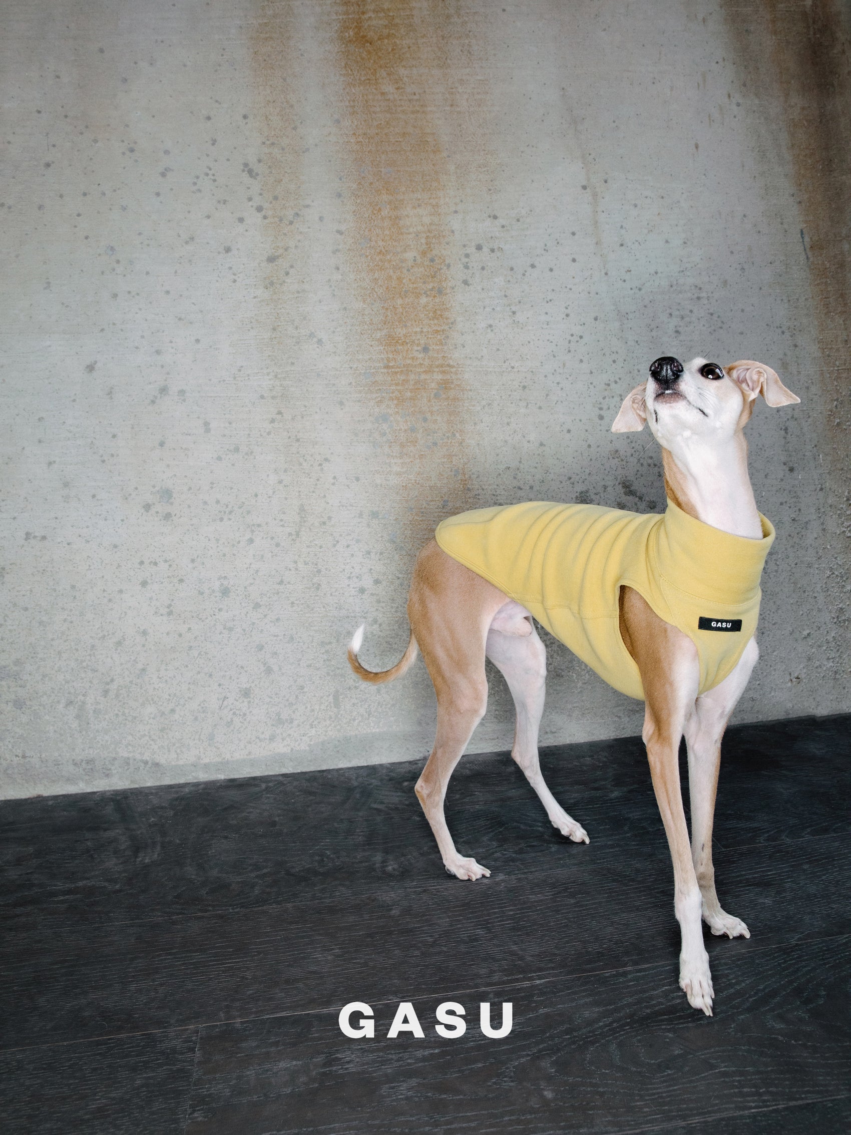 GASU® Flâner / [11 Colors] Anti-static Warm Tight Elastic Belly-protecting Vest