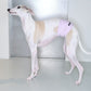 GASU Entourer / [9 colors] Permanently Anti-Static Fleece Belly Wrap