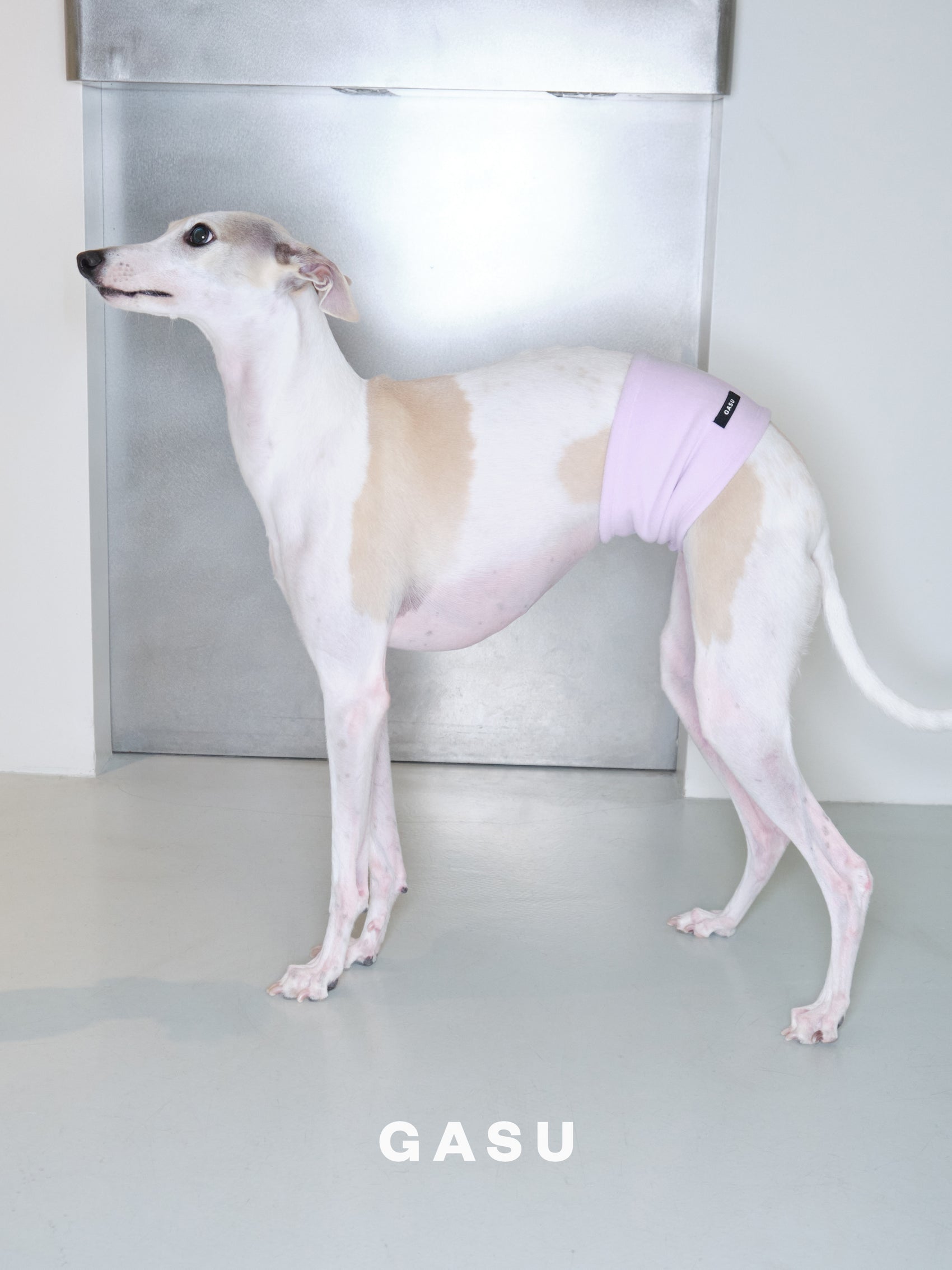 GASU Entourer / [9 colors] Permanently Anti-Static Fleece Belly Wrap