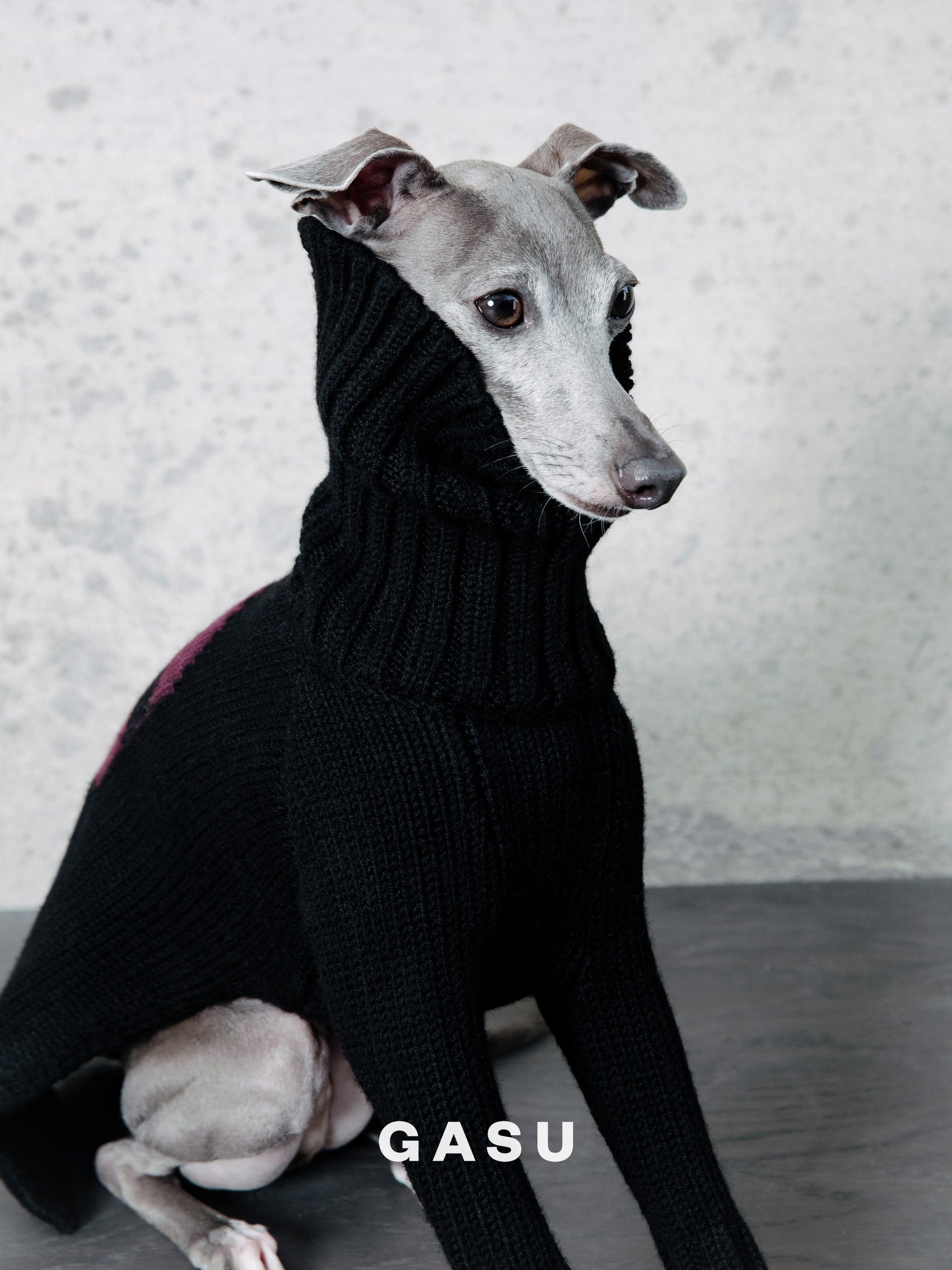 GASU® Svelte / [4 Colors] Vintage Letter Iggy 2-Legged Wool Sweater