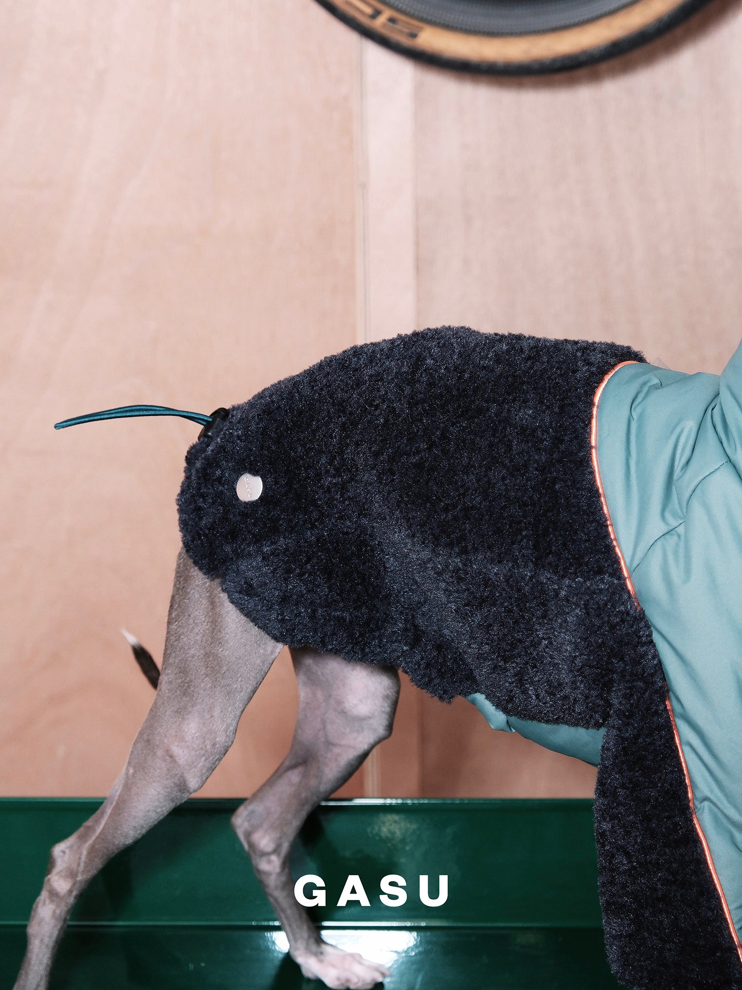 GASU Variété / [3 Colors] 3M Thinsulate™ Warm Fleece Padded 2-Leg Jacket
