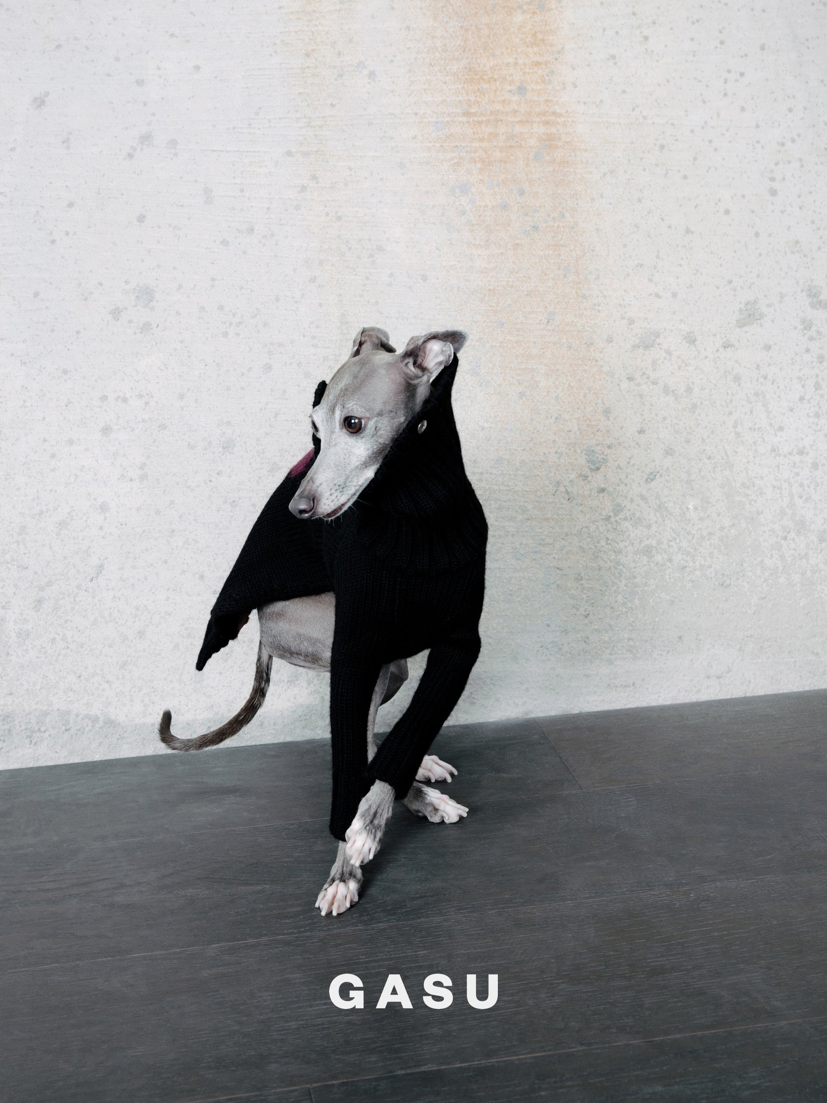 GASU® Svelte / [4 Colors] Vintage Letter Iggy 2-Legged Wool Sweater