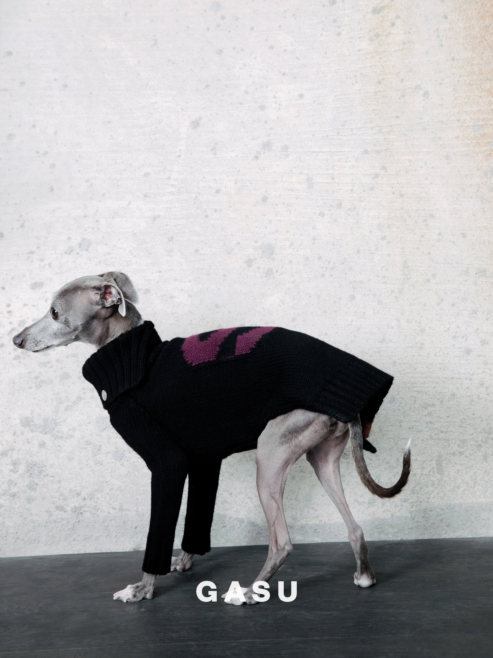GASU® Svelte / [4 Colors] Vintage Letter Iggy 2-Legged Wool Sweater