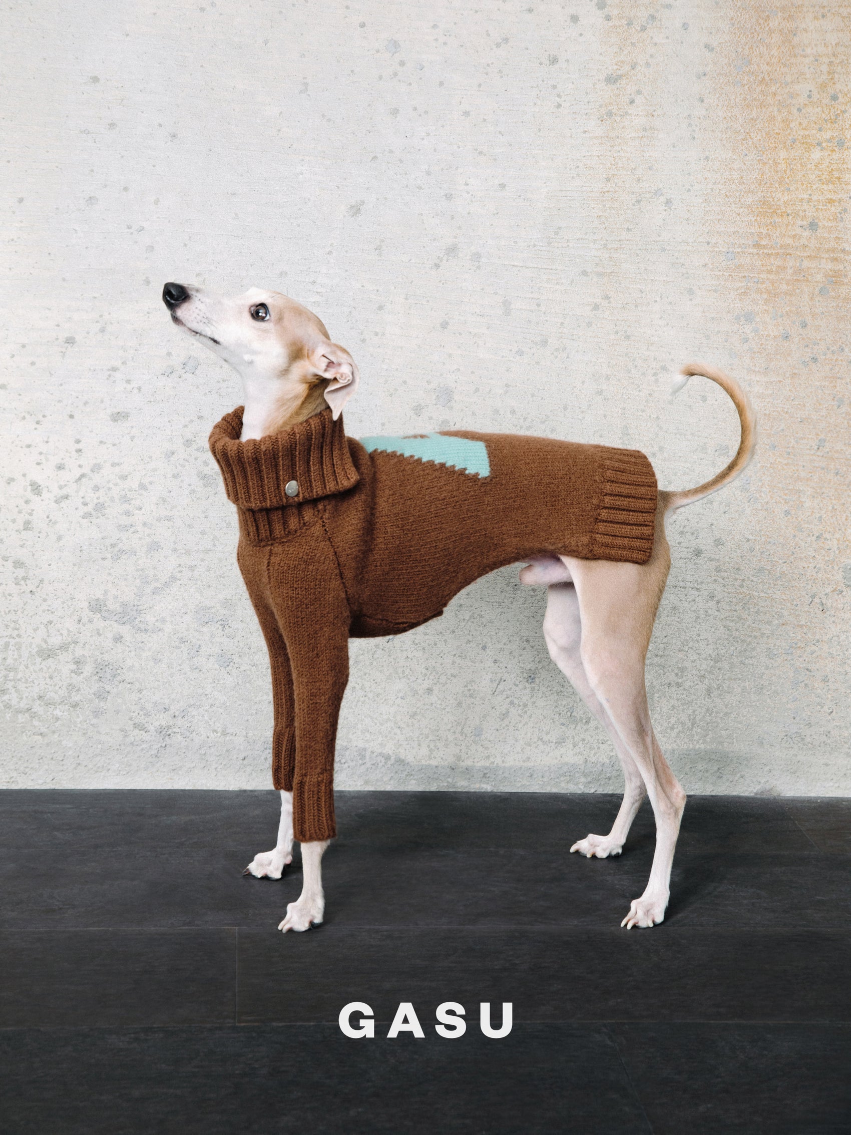 GASU® Svelte / [4 Colors] Vintage Letter Iggy 2-Legged Wool Sweater
