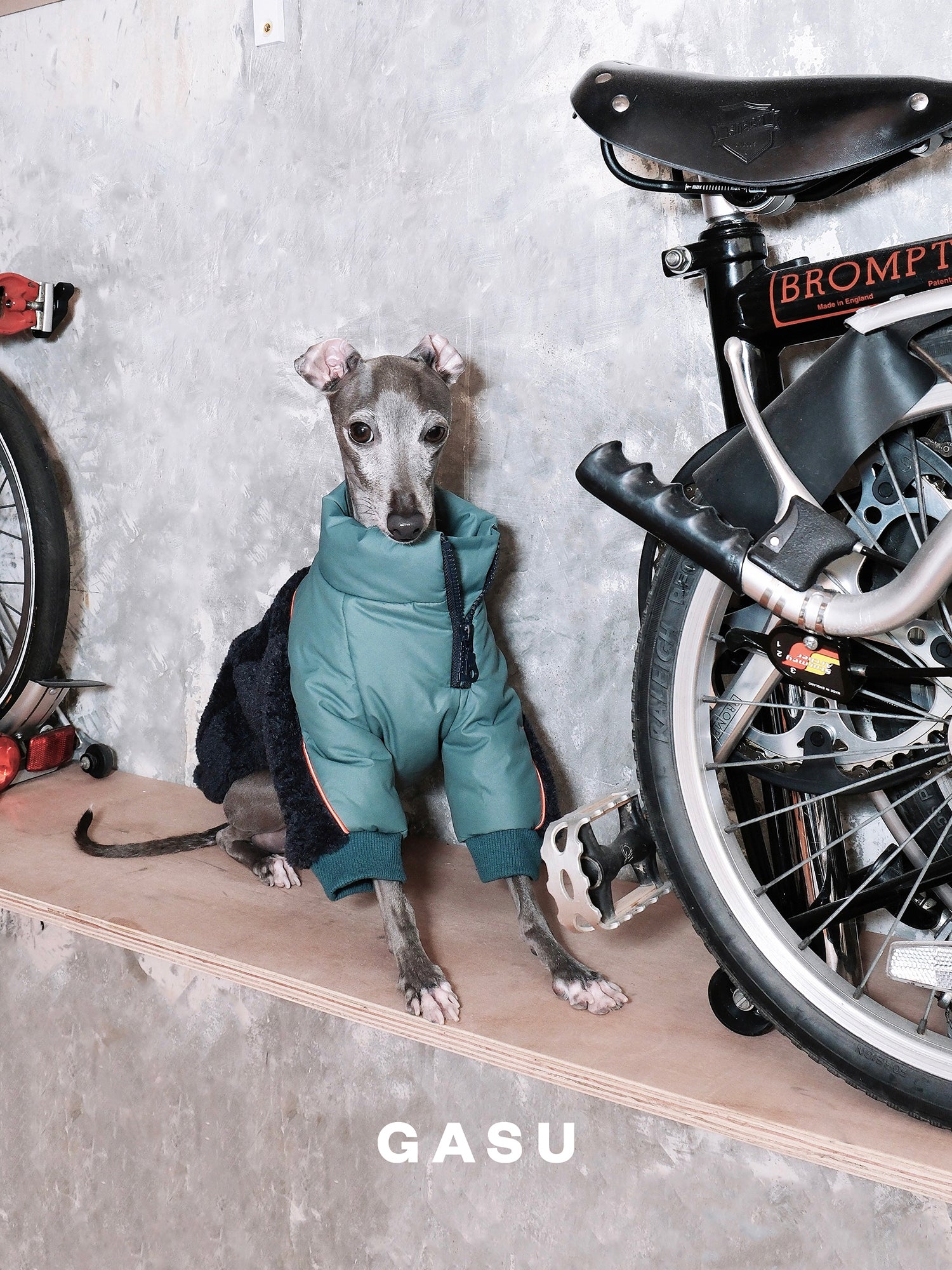 GASU Variété / [3 Colors] 3M Thinsulate™ Warm Fleece Padded 2-Leg Jacket
