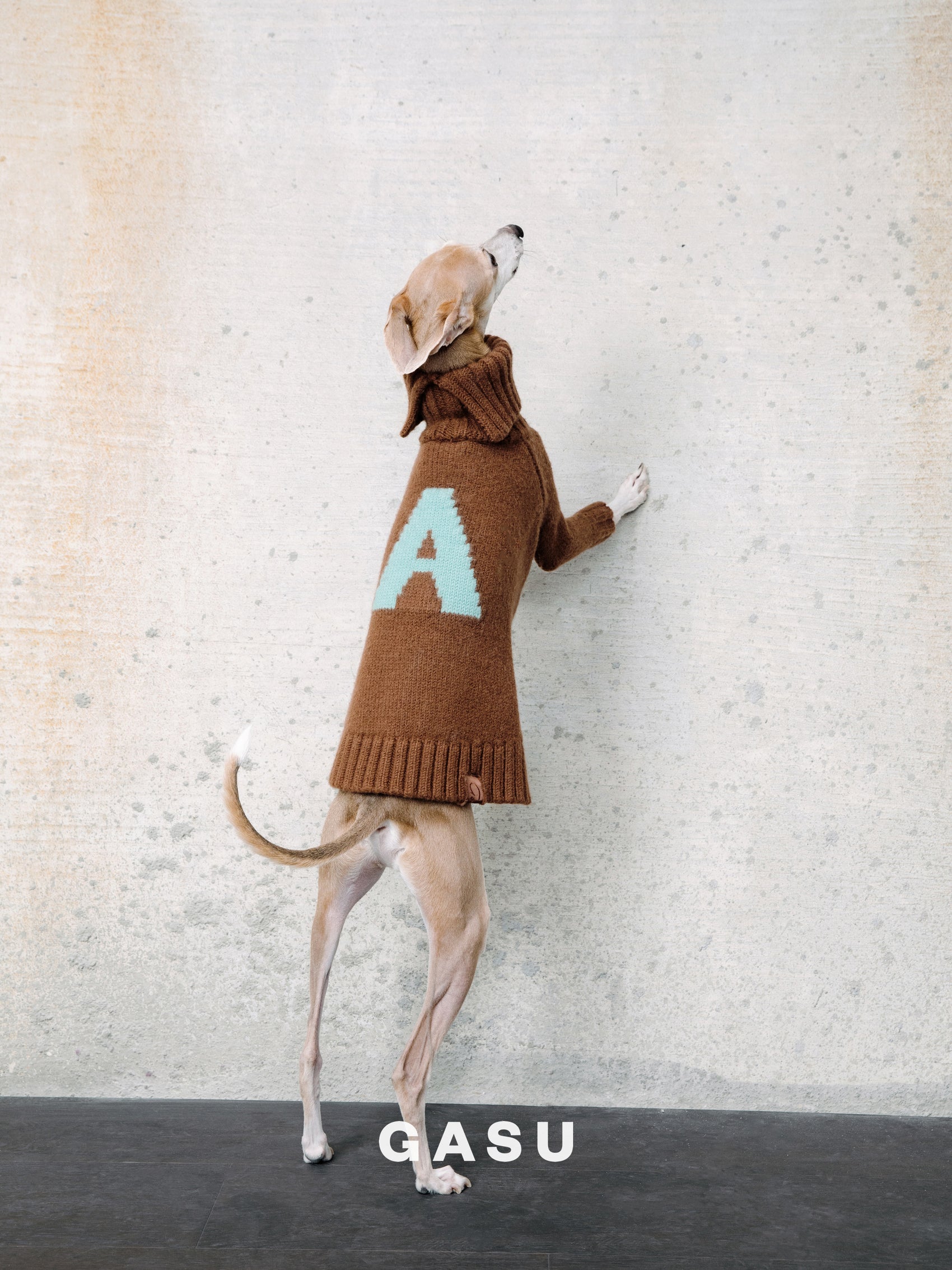 GASU® Svelte / [4 Colors] Vintage Letter Iggy 2-Legged Wool Sweater