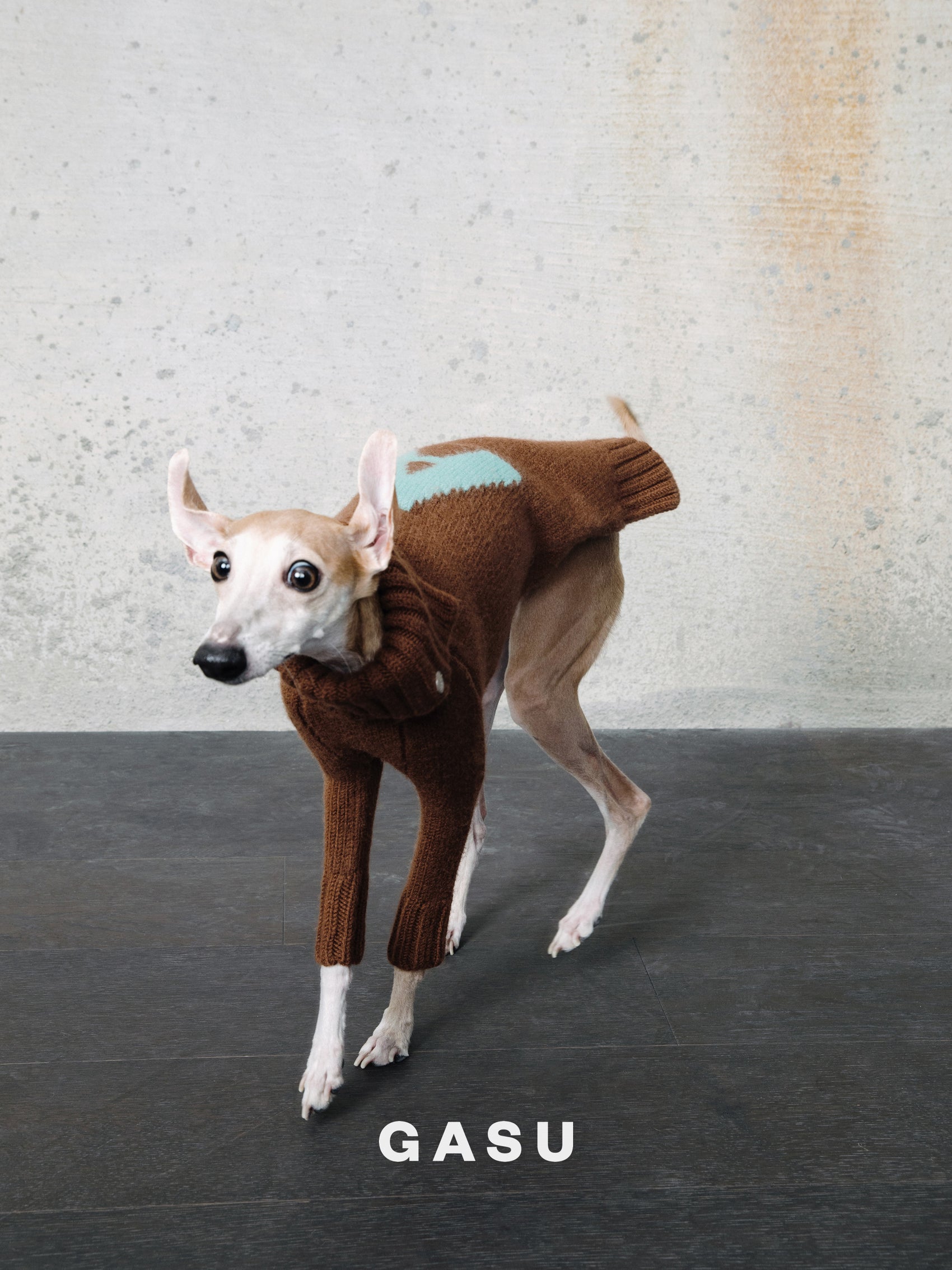 GASU® Svelte / [4 Colors] Vintage Letter Iggy 2-Legged Wool Sweater