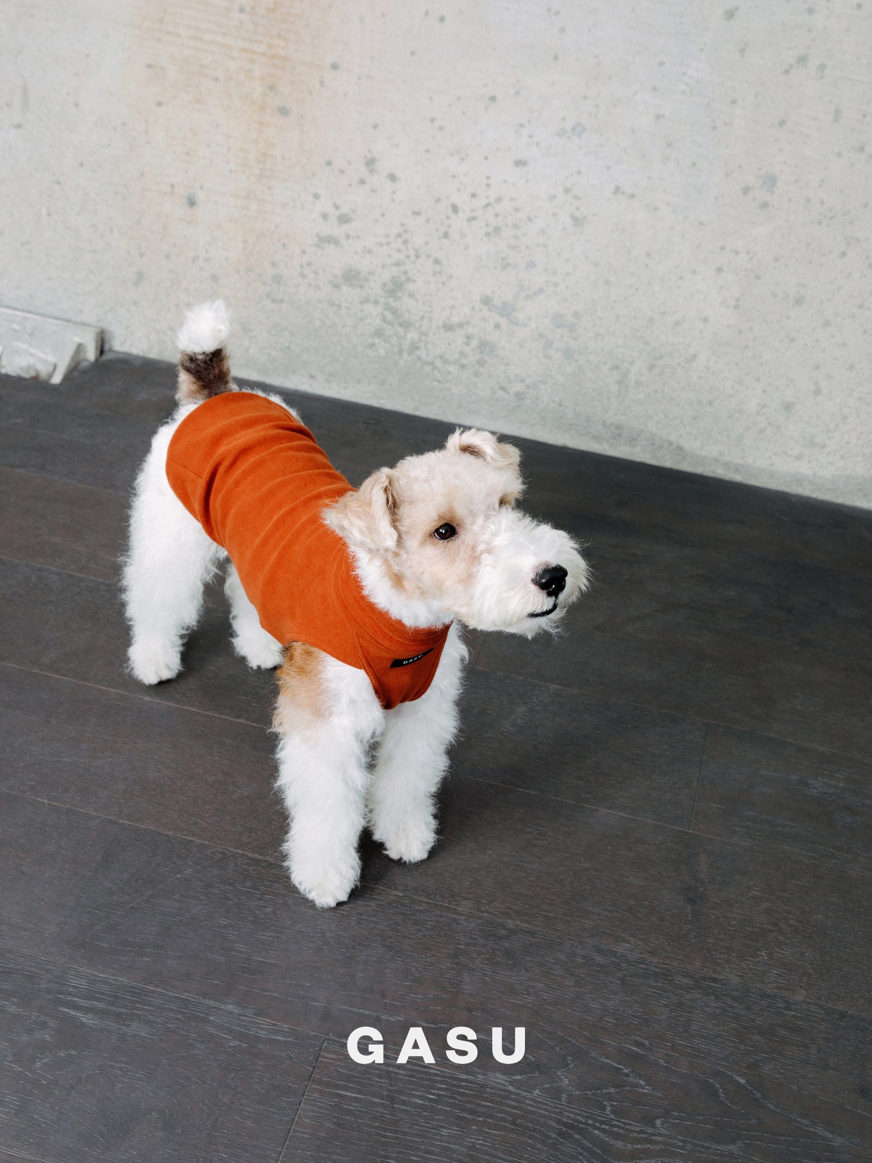 GASU® Flâner / [11 Colors] Anti-static Warm Tight Elastic Belly-protecting Vest