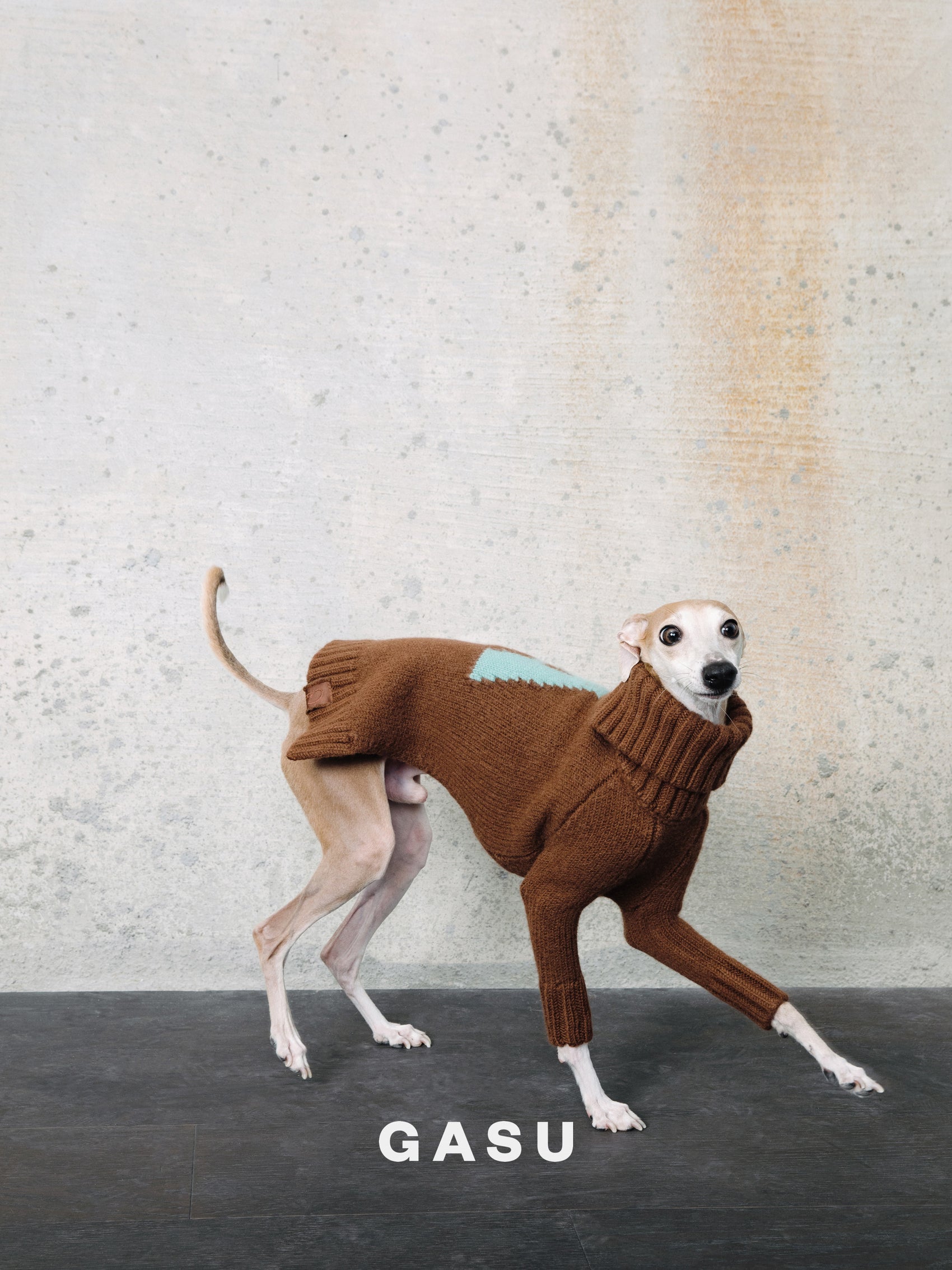 GASU® Svelte / [4 Colors] Vintage Letter Iggy 2-Legged Wool Sweater