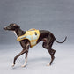 GASU Variété / [Sunwash Plaid] Structured Skin-friendly Breathable Adjustable Harness