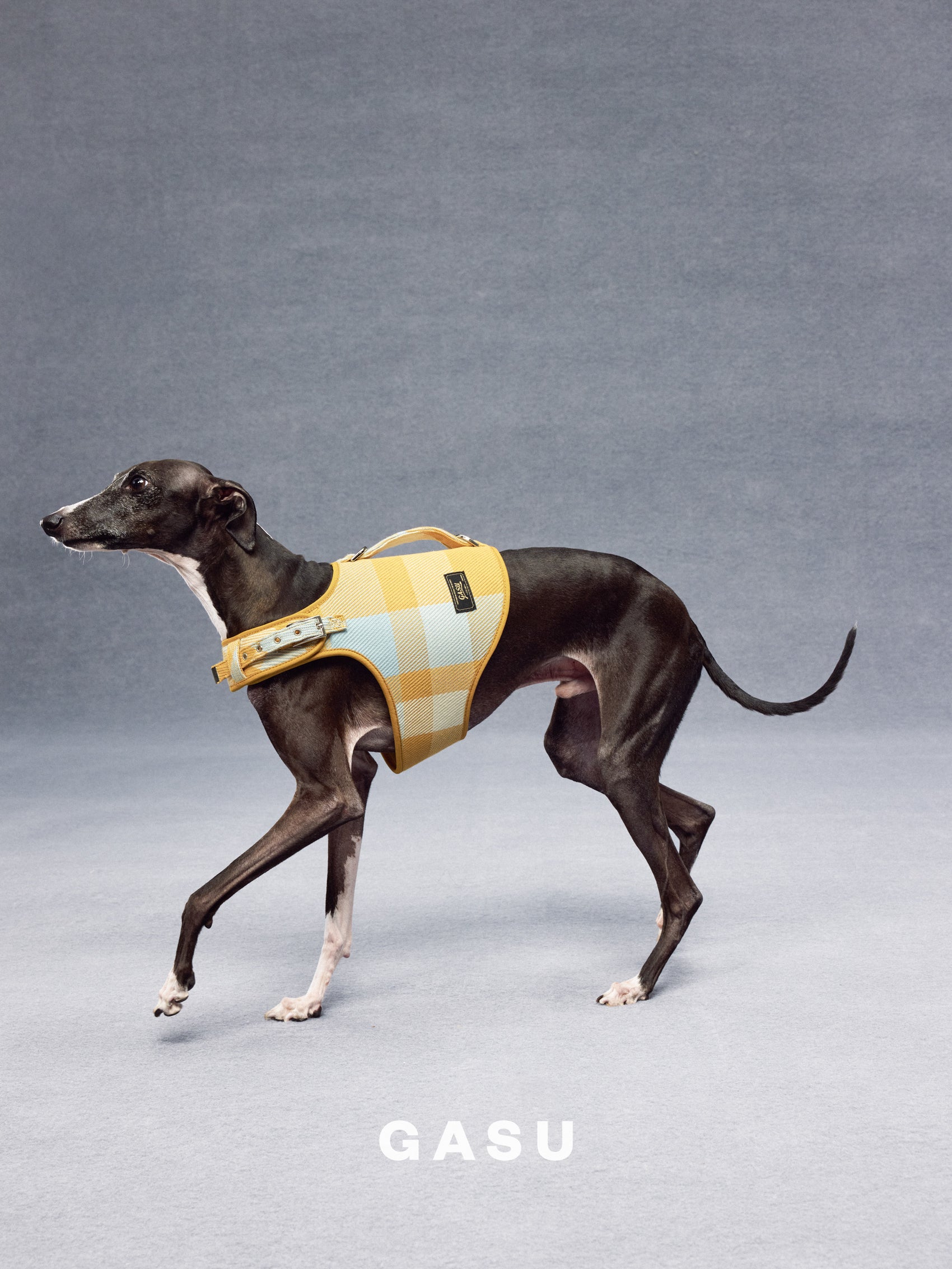 GASU Variété / [Sunwash Plaid] Structured Skin-friendly Breathable Adjustable Harness