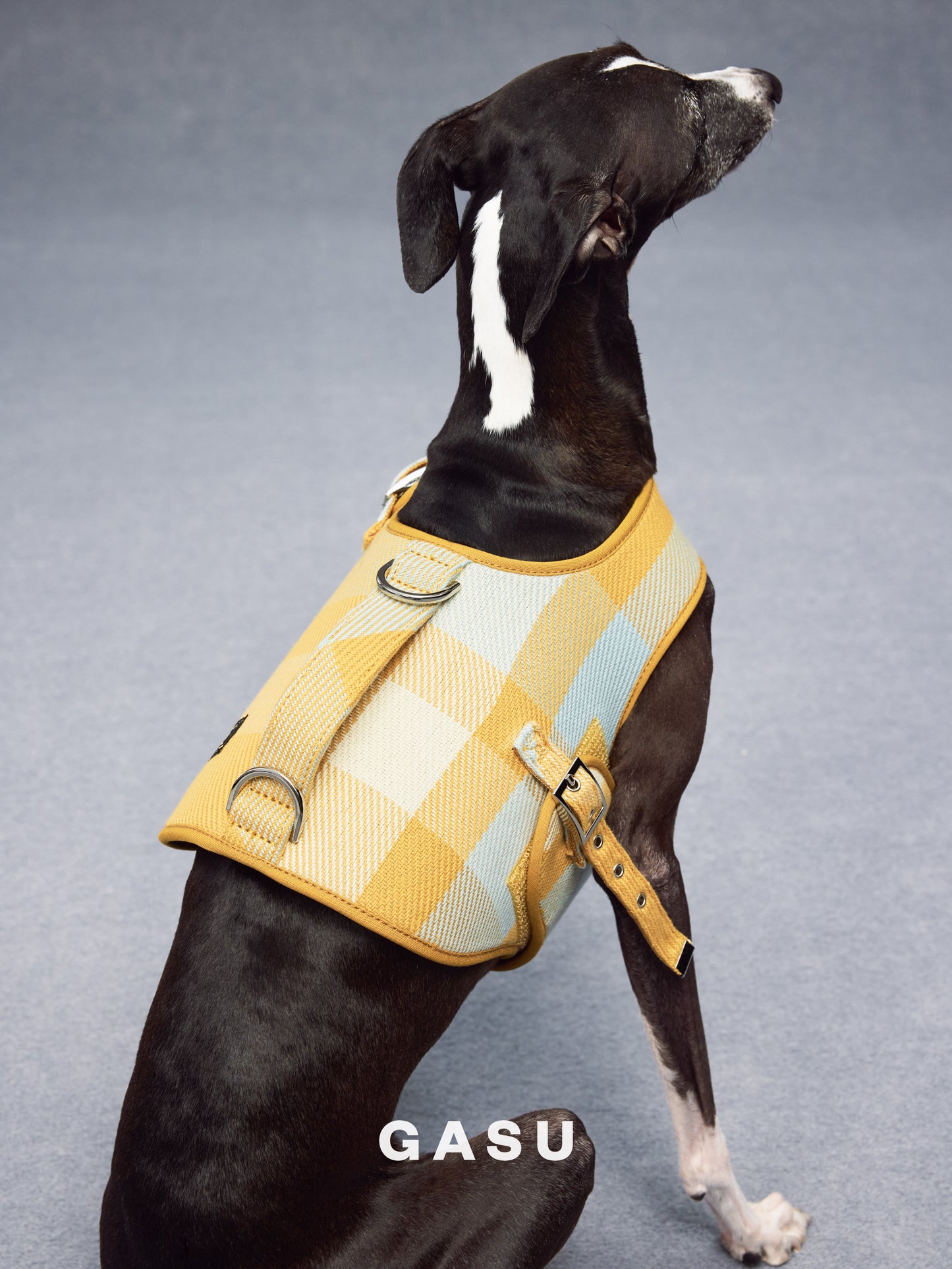 GASU Variété / [Sunwash Plaid] Structured Skin-friendly Breathable Adjustable Harness