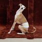 GASU Entourer / [2 colors] Anti-Static Soft Knit Fleece Belly-wrap