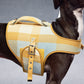 GASU Variété / [Sunwash Plaid] Structured Skin-friendly Breathable Adjustable Harness