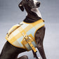 GASU Variété / [Sunwash Plaid] Structured Skin-friendly Breathable Adjustable Harness