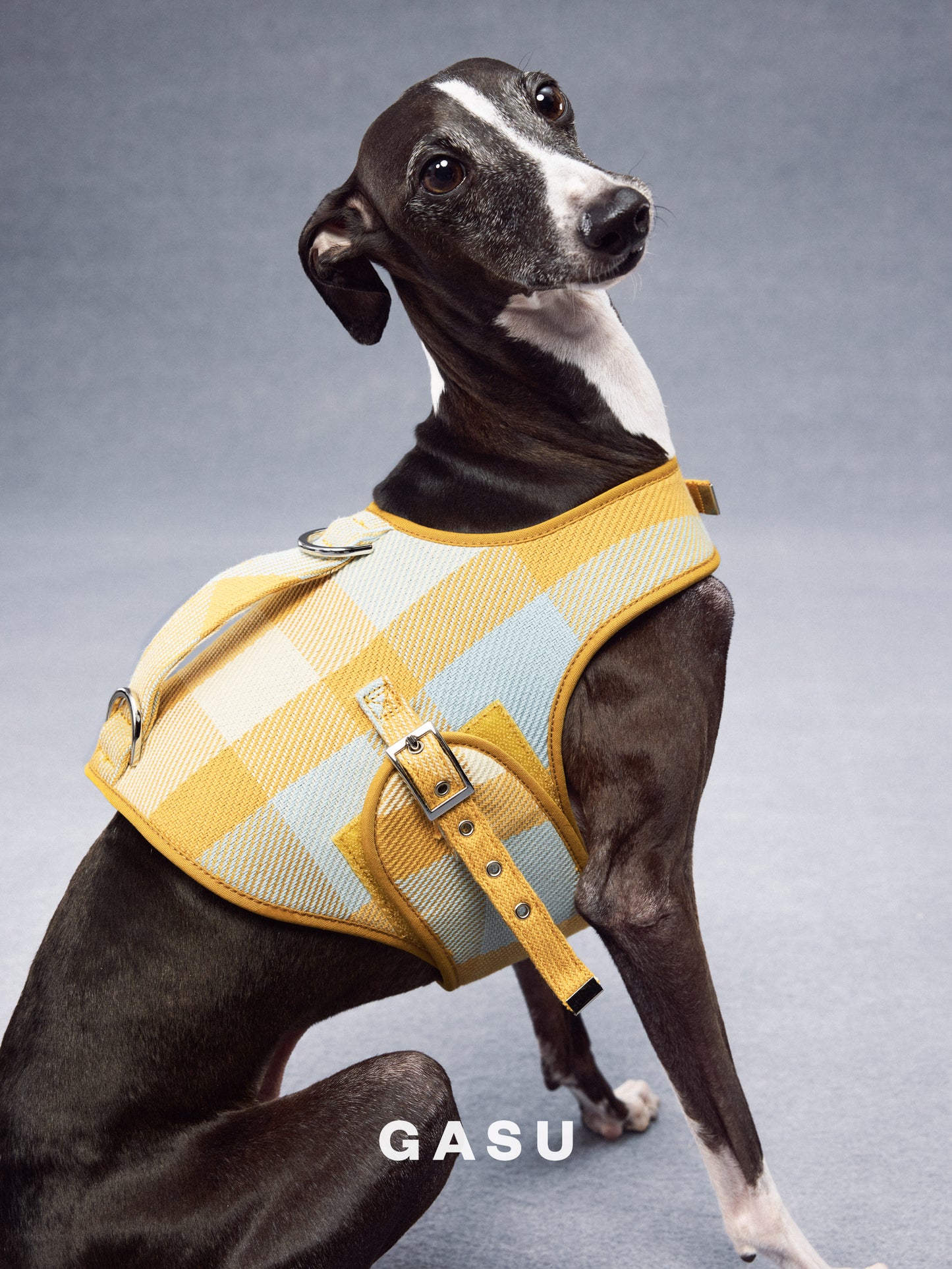 GASU Variété / [Sunwash Plaid] Structured Skin-friendly Breathable Adjustable Harness