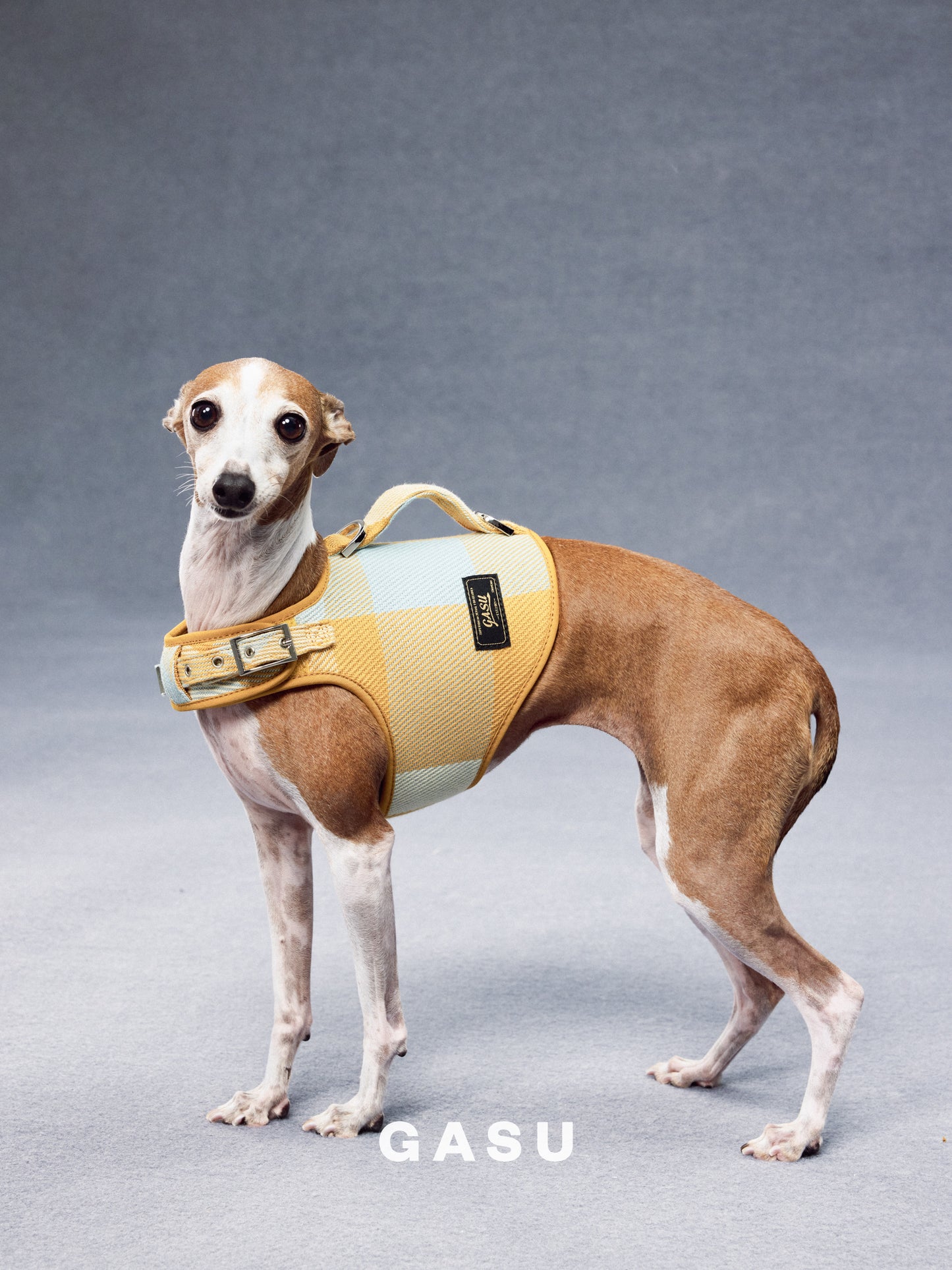 GASU Variété / [Sunwash Plaid] Structured Skin-friendly Breathable Adjustable Harness