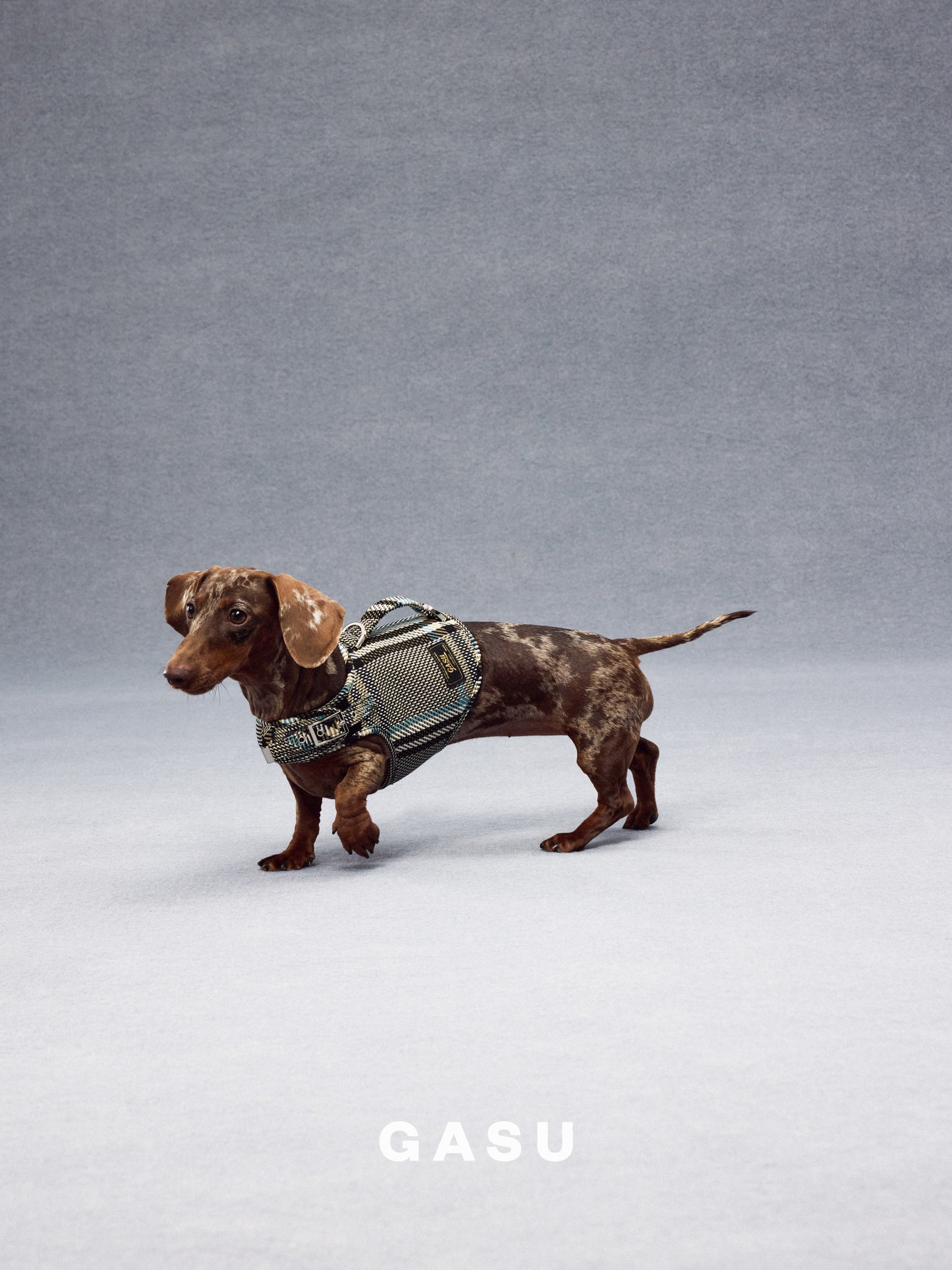 GASU Variété / [Stone Blue] Structured Skin-friendly Breathable Adjustable Harness