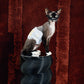 GASU Entourer / [2 colors] Anti-Static Soft Knit Fleece Belly-wrap