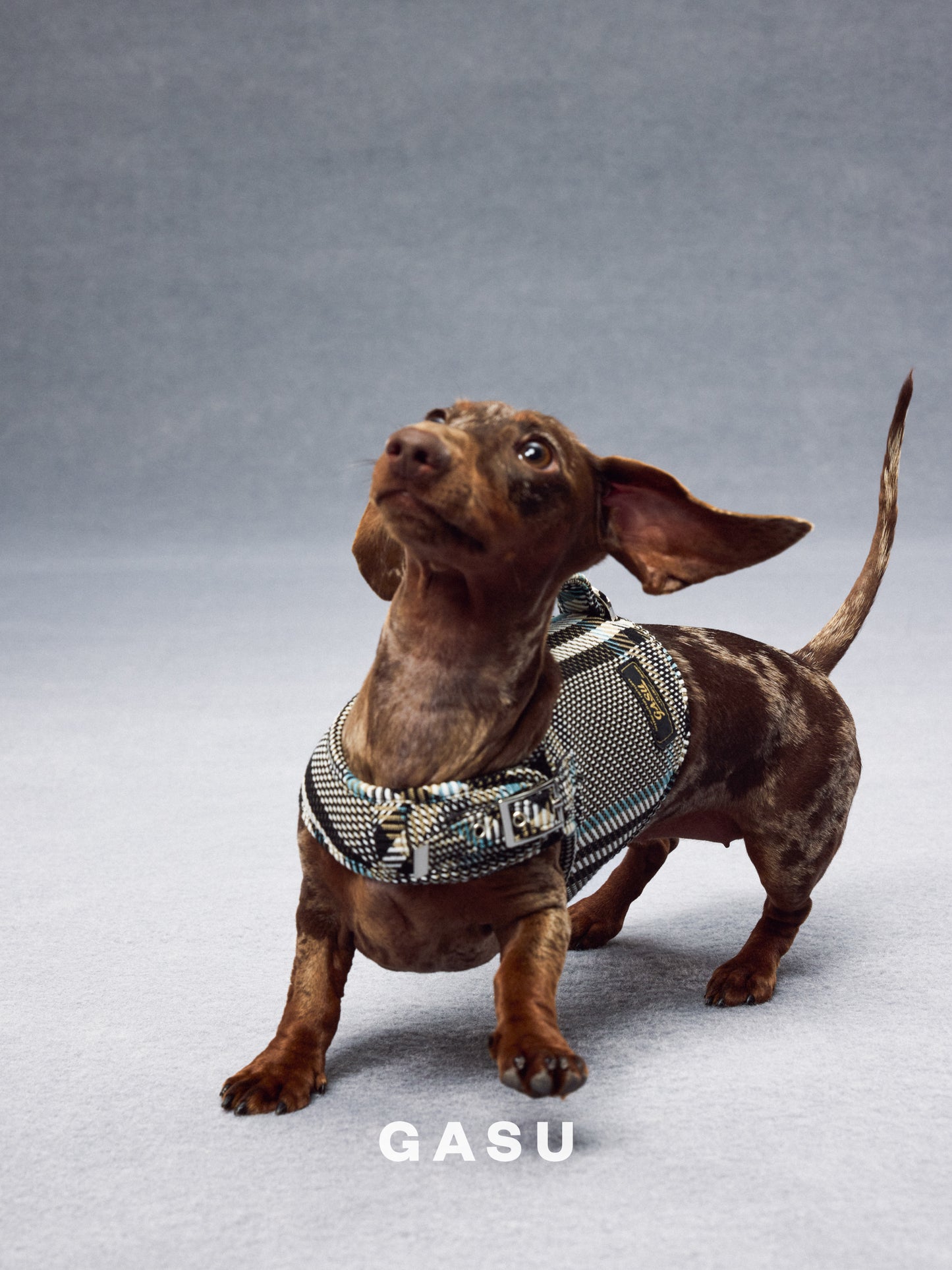 GASU Variété / [Stone Blue] Structured Skin-friendly Breathable Adjustable Harness