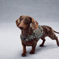 GASU Variété / [Stone Blue] Structured Skin-friendly Breathable Adjustable Harness