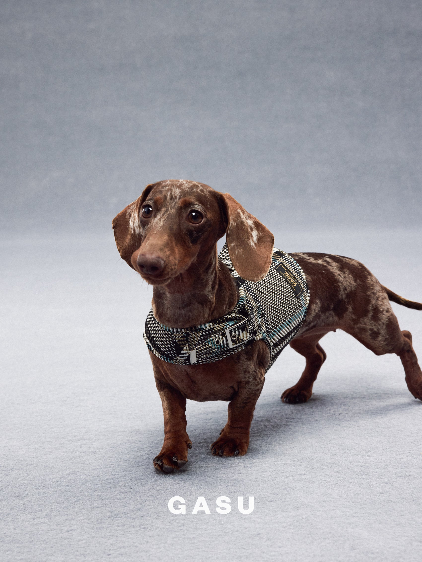 GASU Variété / [Stone Blue] Structured Skin-friendly Breathable Adjustable Harness