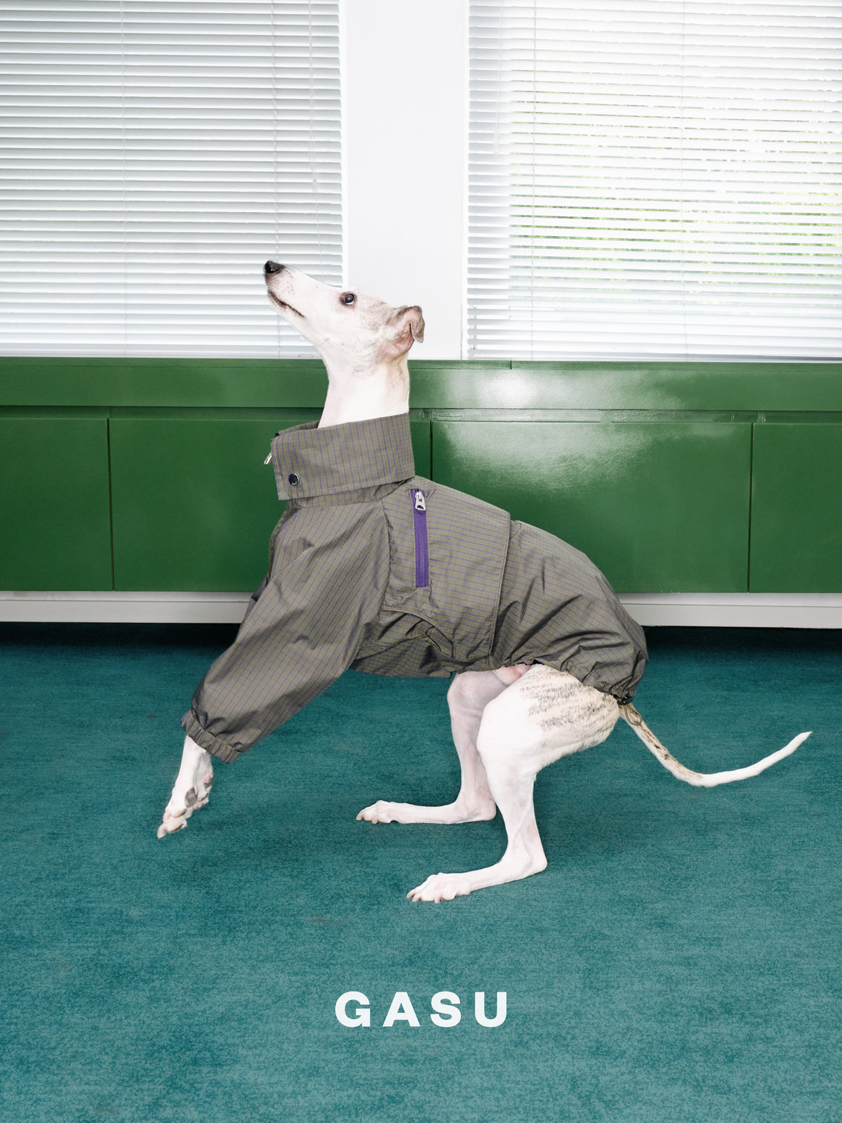GASU Variété / [Foggy Forest] Waterproof Athletic Cape Jacket