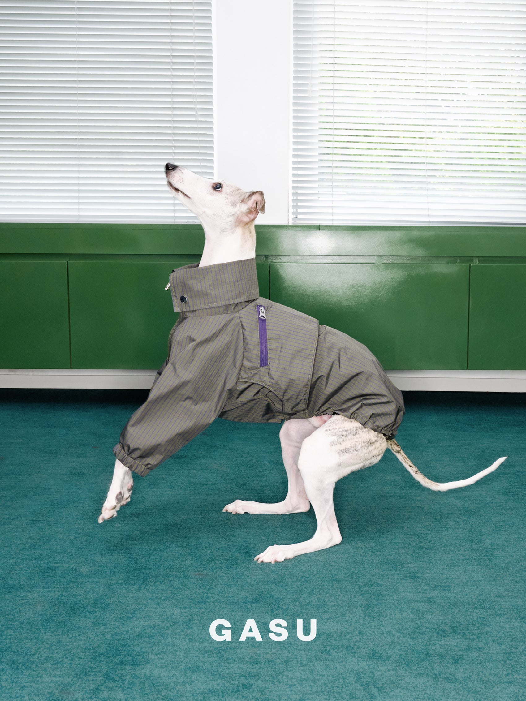 GASU Variété / [Foggy Forest] Waterproof Athletic Cape Jacket