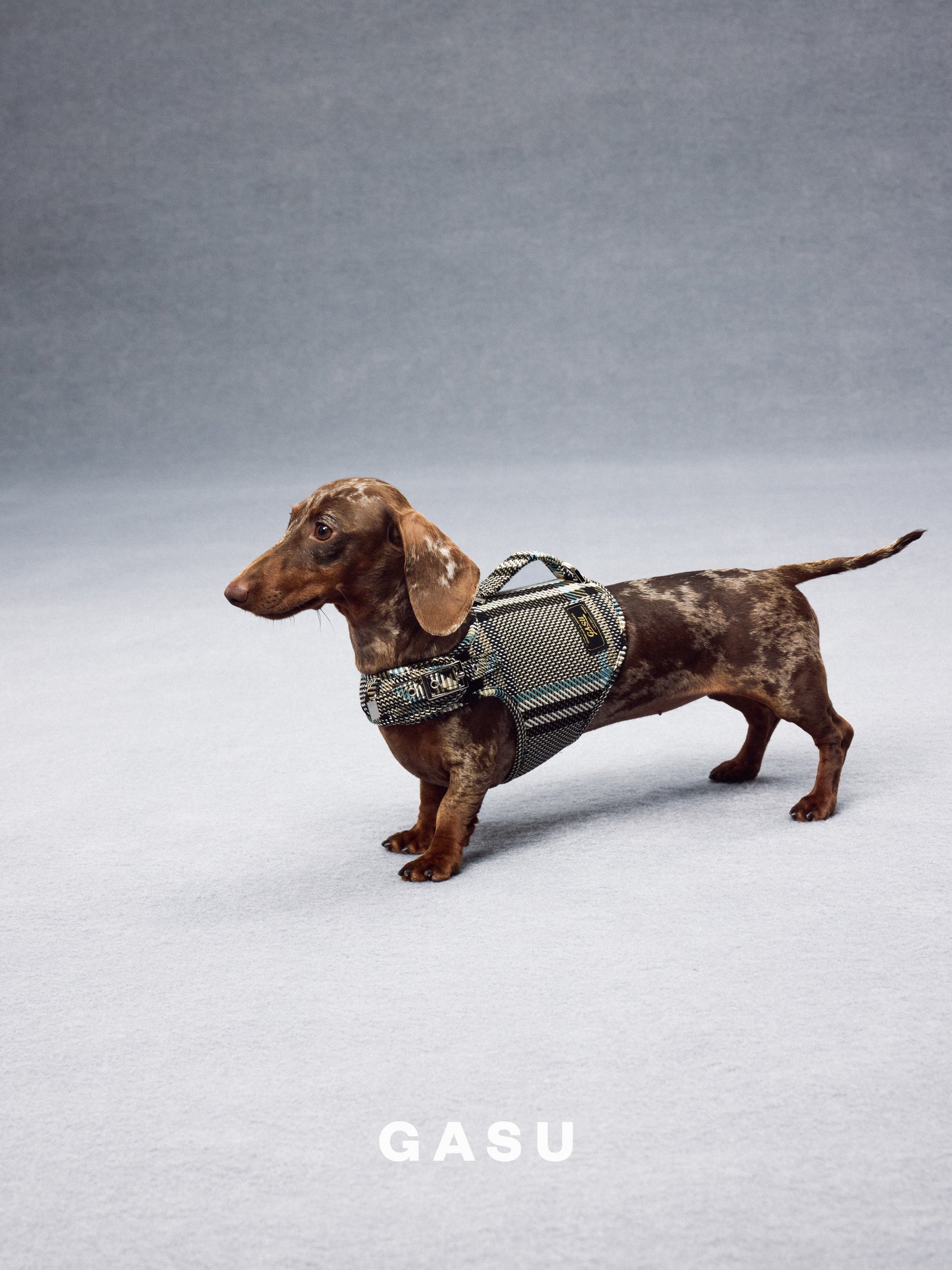GASU Variété / [Stone Blue] Structured Skin-friendly Breathable Adjustable Harness