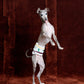 GASU Entourer / [2 colors] Anti-Static Soft Knit Fleece Belly-wrap
