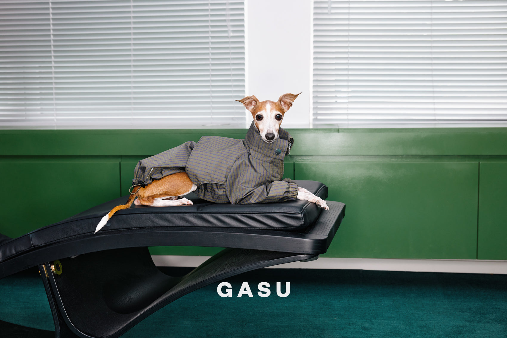 GASU Variété / [Foggy Forest] Waterproof Athletic Cape Jacket