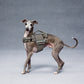 GASU Variété / [Stone Blue] Structured Skin-friendly Breathable Adjustable Harness