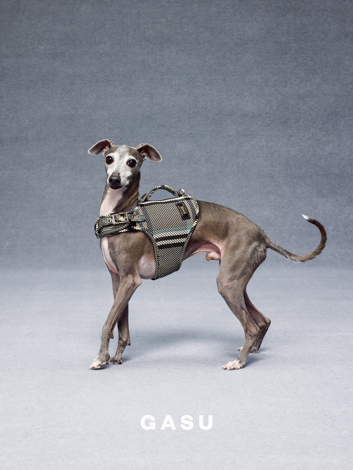 GASU Variété / [Stone Blue] Structured Skin-friendly Breathable Adjustable Harness