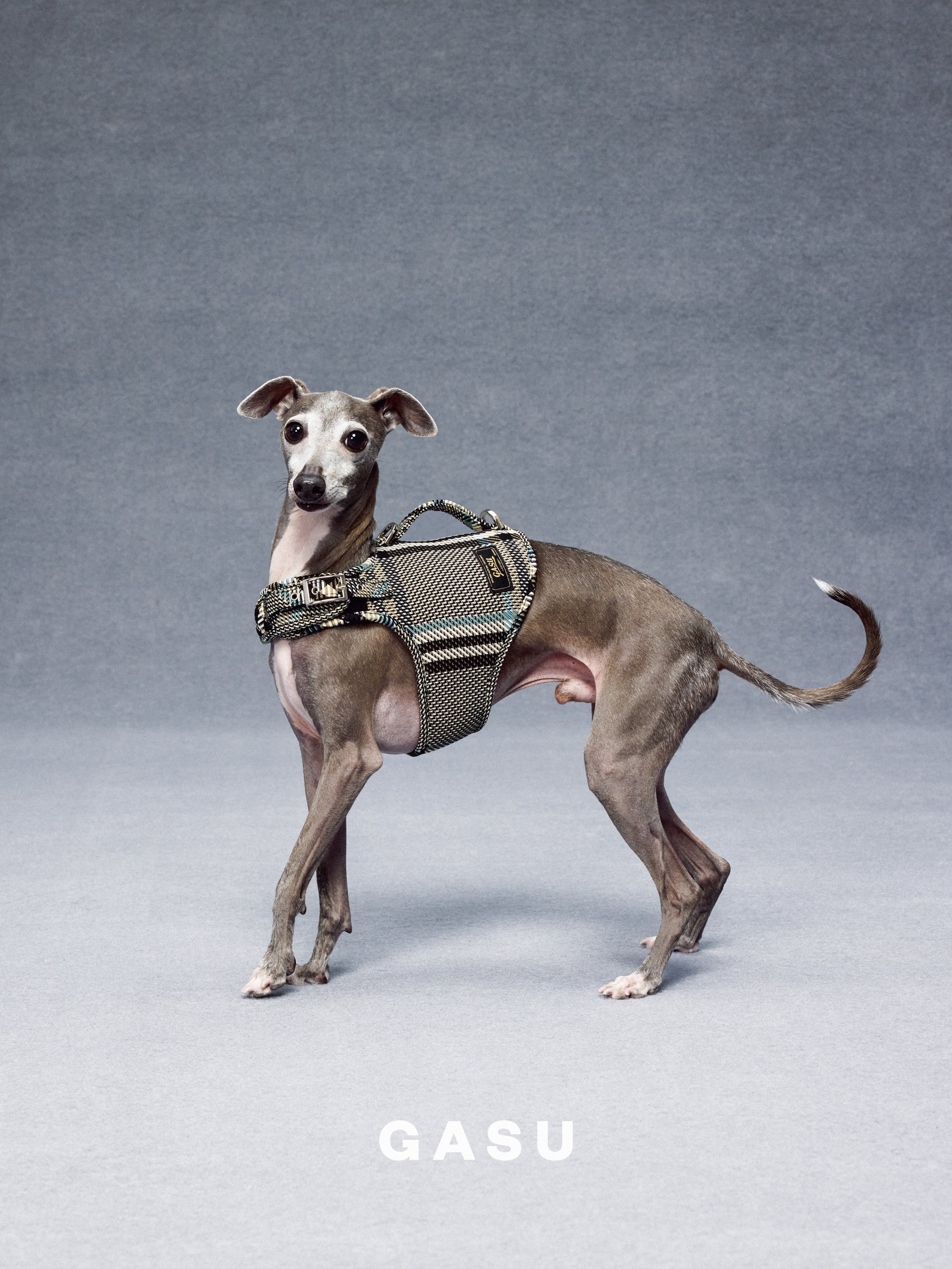 GASU Variété / [Stone Blue] Structured Skin-friendly Breathable Adjustable Harness