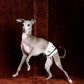 GASU Entourer / [2 colors] Anti-Static Soft Knit Fleece Belly-wrap
